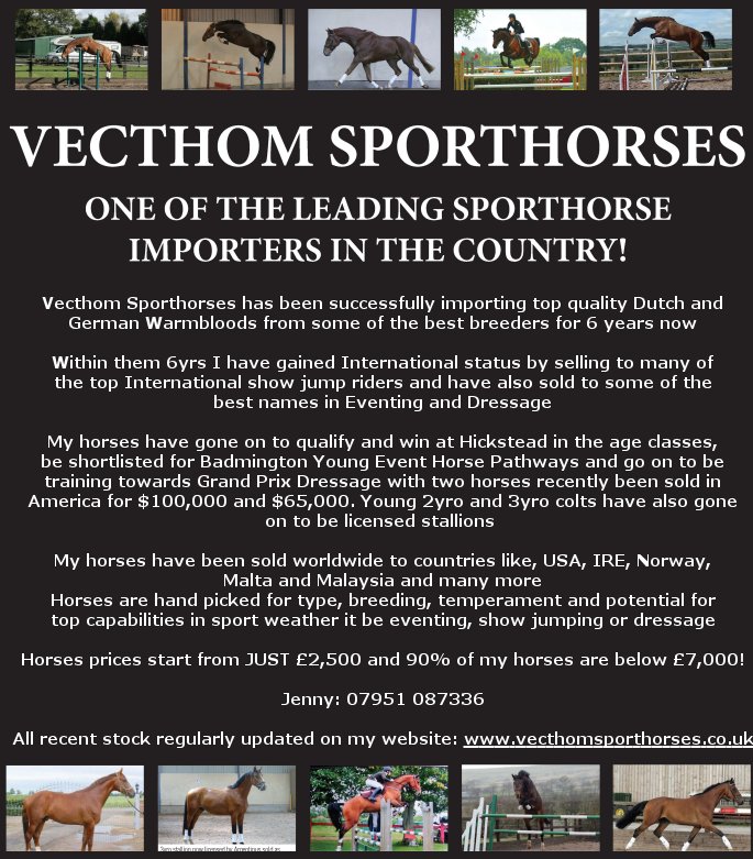 Vecthom Sporthorses